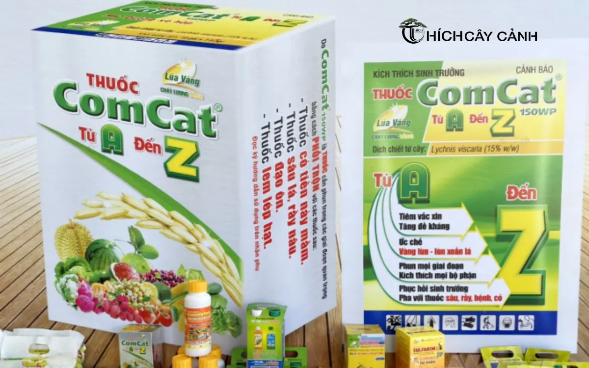 Hướng Dẫn Sử Dụng Thuốc Comcat An Toàn, Hiệu Quả