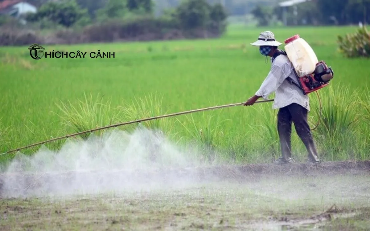 Cách Thức Kiểm Soát Những Sâu Bọ Gây Hại Tương Tự Như Châu Chấu